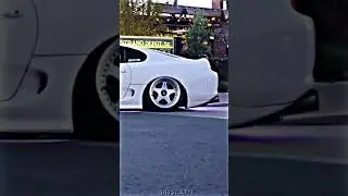 supra7