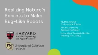 Realizing Nature's Secrets to Make Bug-like Robots