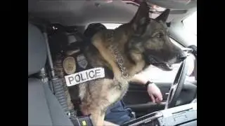 Newport Police Dept, Oregon - National Police K-9 Day