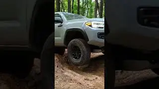 Lunar Rock Toyota Tacoma TRD Pro on the Trail