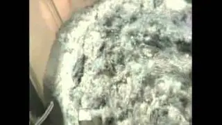 What Is Dust Made Of?