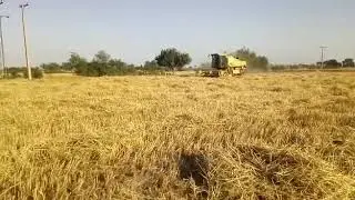 Bahalike village sheikhupura pakistan