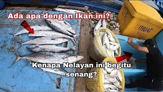 KENAPA DENGAN IKAN INI? | NELAYAN DI LAUT NATUNA DALAM MENCARI IKAN...