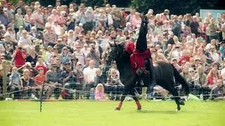 Stampede Stunt Company International 