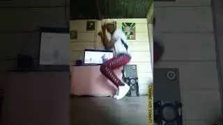 Trey Songz - Touchin ,Lovin feat. Nicki Minaj (dance video)