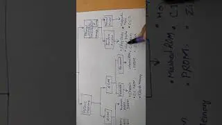 Memory ( Part-1)