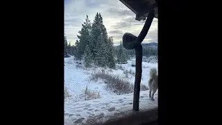 Kick Back by the Fire &mdash; Off-Grid Coffee Live Stream (Join In!)