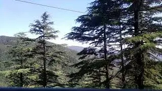 Green valley Shimla
