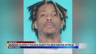 Murder suspect pleads guilty to bus driver attack