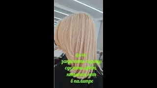 Окрашивание седых волос в Блонд. #колористикадляпарикмахеров #окрашиваниеседины  #колористикаснуля