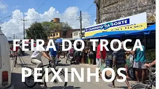 FEIRA DO TROCA TROCA DE PEIXINHO OLINDA,O BRECHO ABEN&Ccedil;OADO 