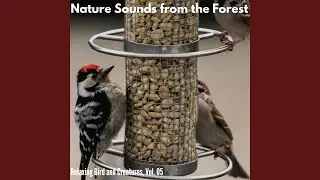 Rebellious Natural Silence