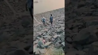 Rahu fish hunting at parvati barrage sundilla