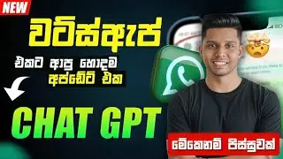 Whatsapp එකට ආව Chat GPT🔥 | Chat gpt To Whatsapp Sinhala | whatsapp big update | GAYANGA TECH