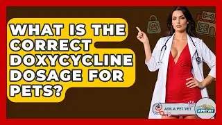 What Is The Correct Doxycycline Dosage For Pets? - Ask A Pet Vet