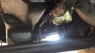 Oil leak (DT 466)