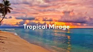 Tropical Mirage: Lofi Dance Vibes Amidst Sunlit Palms