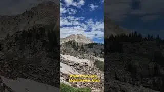 White Pine Lake Trail is 10.7 miles out and back rated as challenging.  07/09/2022