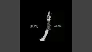 Magnate