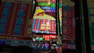 EGT FLAMING HOT EXTREME BELL LINK NEW VERSION | Live Play #shorts #lasvegas #viral #usa #subscribe