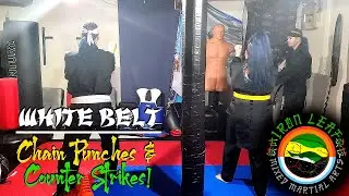 Iron Leaf MMA: Chain Punches & Counter Strikes (White Belt)
