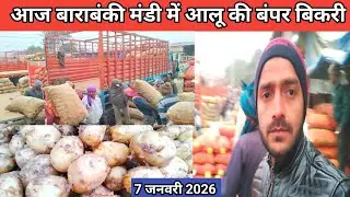 आज बाराबंकी मंडी में आलू की बंपर बिकरी 7 जनवरी 2026 🥔 aalu ka bhav 🥔 potato rate today 🥔 mandi 