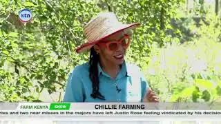 Farm Kenya || Chillie farming
