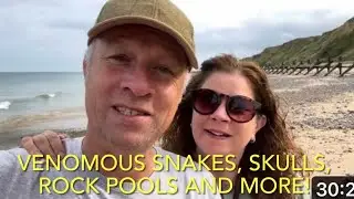 VLOG: Adder hunting, rockpools, dead seal and stately gardens!