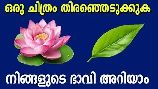 നിങ്ങളുടെ ഭാവി ഞാൻ പറയാം... ഒരു ചിത്രം തിരഞ്ഞെടുക്കൂ...