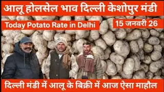 15 January 26 आलू होलसेल भाव दिल्ली केशोपुर मंडी #potato otato 