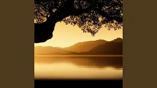 Soothing Ambient Soundscape For Emotional Calm And Nighttime Rest