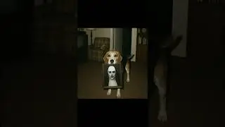 Don&rsquo;t Ignore Your Dog At Midnight If It Brings This Photograph #scary #shorts #creepy