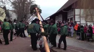 Narrenbaumsetzen in Daisendorf 2013