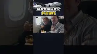 1英鎊買飛機，票價2萬刀：揭祕協和客機的暴利真相 #航空科普 #協和客機 #超音速客機 #飛行 #知