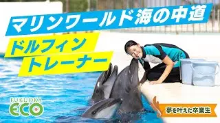 【夢を叶えた卒業生】マリンワールド 海の中道【ドルフィントレーナー】