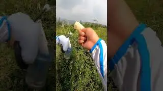 Watch This Man Catches a Grasshopper