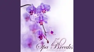 Eco Spa