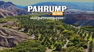 China Ranch Date Farm close to Pahrump Nevada