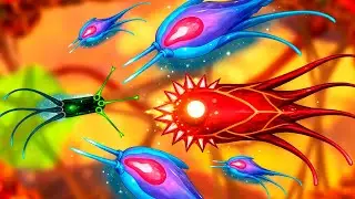 SPORE PERO CON BACTERIAS | PATHOGENIC