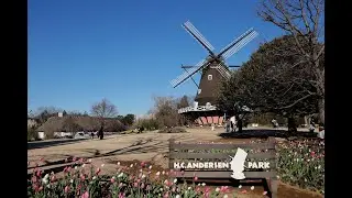 2026年1月12日船橋アンデルセン公園