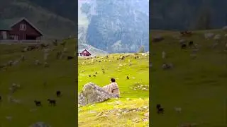Beautiful Kashmir #kashmir #travel #scenickashmir #mountains #beautifulmusic #classicalmusic #nature
