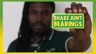 Davey Sayles - Shake Junt Bearings