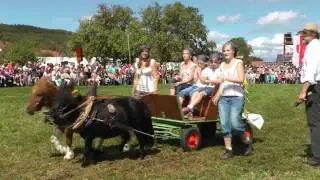 14. Rosstag in Bartholomä