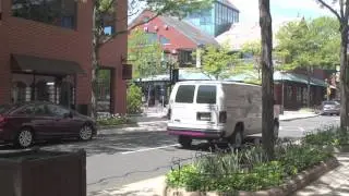 Monday Morning Flower and Balloon Co Princeton Video
