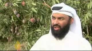 Sudan's rural riches attract investors - 17 May 09