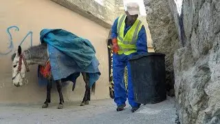 A rubbish job for donkeys in Iraqi-Kurdish town | AFP