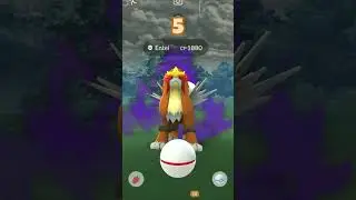 Did We Get✨SHINY SHADOW ENTEI✨? (Part 1) | Pokemon Go