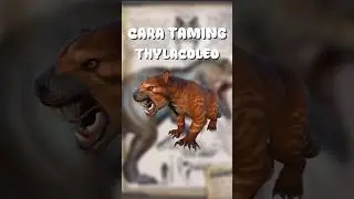 CARA TAMING THYLACOLEO #arksurvivalevolved #arkindonesia #arkultimatemobile #tipsarkmobile