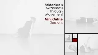 Online Awareness through movement Lessons - The Feldenkrais Way