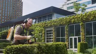 Donker Groen | Groenbeheer volgens de regels van de natuur